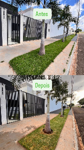 Jardinagem Profissional em Maringá – Corte de grama e manutenção de jardins