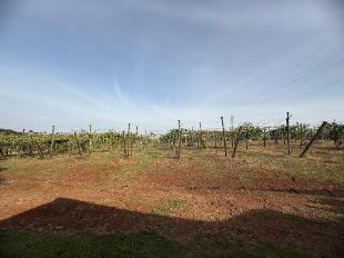 Área Rural