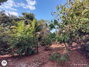 CHÁCARA EM MANDAGUAÇU, MORRO DO CIPÓ. - CRECI 15585F CNAI 02636