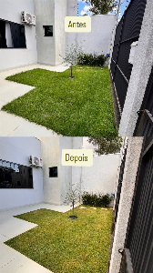 Jardinagem e Paisagismo