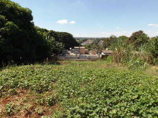 VENDE-SE TERRENO COMERCIAL JD. ALVORADA. IDEAL PARA CONTRUÇÃO DE BARRACÃO