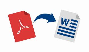 Imagem do anuncio Digitação de arquivos em PDF para vários formatos como Word, Excel e Outros