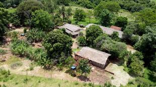 SÍTIO À VENDA ALTO PARANÁ  3,25 ALQUEIRES – PARANÁ