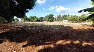 Chácara para venda possui 4000 m² em Condomínio Recanto das Rosas - Maringá - PR.