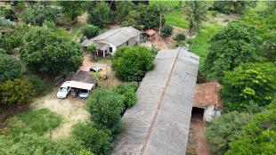 SÍTIO À VENDA ALTO PARANÁ  3,25 ALQUEIRES – PARANÁ