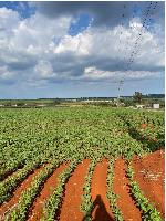 Vendo lotes de terra BR 376