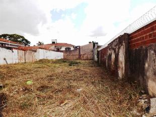 VENDE-SE EXCELNTE TERRENO VILA MORANGUEIRA PRÓX. MUFATTO MAX.