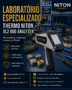 THERMO FISHER NITON BRASIL