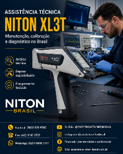 THERMO FISHER NITON BRASIL