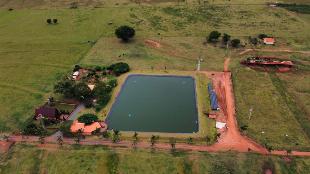Fazenda Região de Alto Paraná e Paranavaí