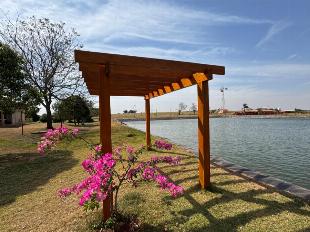 Fazenda Região de Alto Paraná e Paranavaí