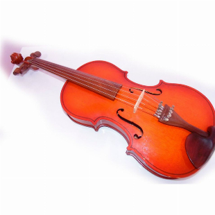 Viola Luthier Couto