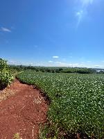PROPRIEDADE RURAL NA BEIRA DO RIO IVAÍ