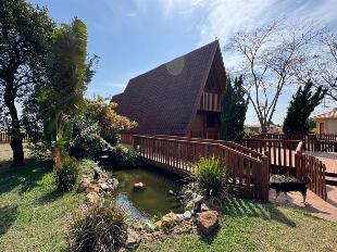 Fazenda Região de Alto Paraná e Paranavaí