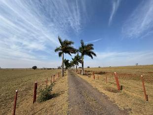 Fazenda Região de Alto Paraná e Paranavaí