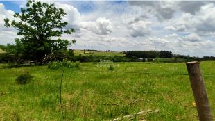 SÍTIO À VENDA ALTO PARANÁ  3,25 ALQUEIRES – PARANÁ