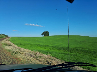VENDA DE SÍTIO, COM RESERVA NATURAL E A TRANQUILIDADE DO AMBIENTE RURAL