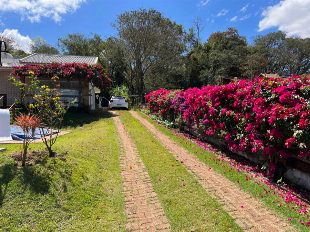 Casa para Morar ou Lazer Rio Ivai - Floresta - PR