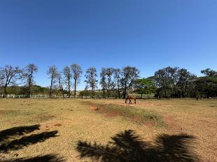 Chácara Distrito de Iguatemi (Iguatemi)