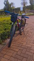 bike Oggi aro 29