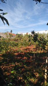 DATA JARDIM PANORAMA 455 M2 ESQUINA