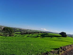 VENDA DE SÍTIO, COM RESERVA NATURAL E A TRANQUILIDADE DO AMBIENTE RURAL