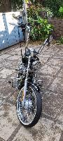 Harley-Davidson XL 883 Custom - 2006