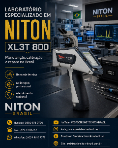 THERMO FISHER NITON BRASIL