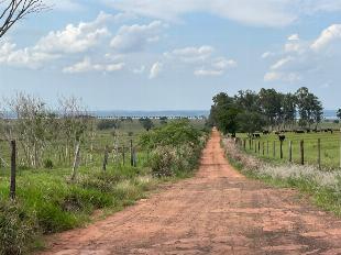 ÁREA DE 40 ALQUEIRE EM TERRA RICA