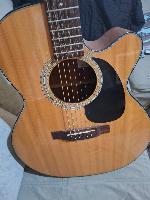 Violao Takamine EG220C Series