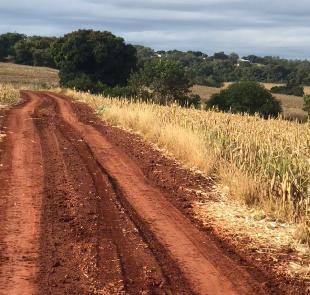 Chácara em Maringá 20.000m2