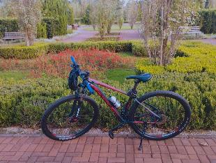 bike Oggi aro 29