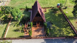 Fazenda Região de Alto Paraná e Paranavaí