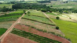 SÍTIO À VENDA ALTO PARANÁ  3,25 ALQUEIRES – PARANÁ