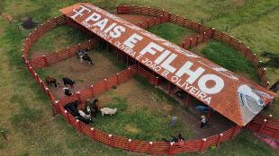Fazenda Região de Alto Paraná e Paranavaí