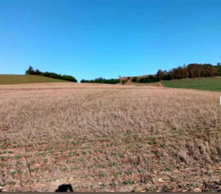 Sitio 05 alqueires - Marialva- Não perca tempo com terra fraca. Aqui o investimento retorna