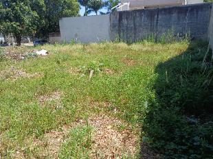 EXCELENTE TERRENO - PARQUE RESIDENCIAL TUIUTI - 453M²