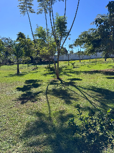 Terreno no Condomínio Colina do Lago