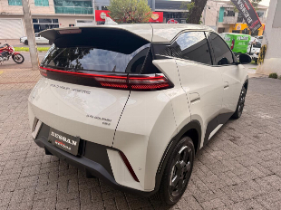 BYD Dolphin Mini (elétrico)