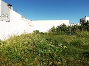VENDE-SE EXCELENTE TERRENO JD. TÓQUIO PRÓX. AV. MORANGUEIRA