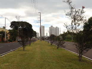 VENDE-SE TERRENO COMERCIAL AV. NILDO RIBEIRO DA ROCHA. EM PRENTE PARQUE DO JAPÃO.