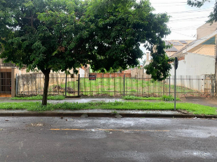 Imagem do anuncio Zona 02