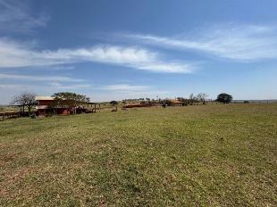 Fazenda Região de Alto Paraná e Paranavaí