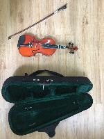 violino
