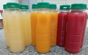 Consultoria Especializada em Alimentação – Transforme Seu Negócio em Maringá!
