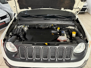 Jeep Renegade Trailhawk 2.0 Diesel 4x4 Automatica