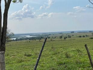 ÁREA DE 40 ALQUEIRE EM TERRA RICA