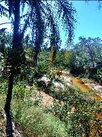 FAZENDA À VENDA COM 400 HECTARES NA CIDADE DE CAÇARATIBA EM MINAS GERAIS