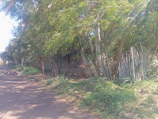 LOTE INDUSTRIAL RODOVIA 317- MARINGA. COM 3.890 M2
