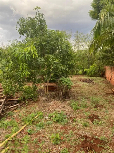 CHÁCARA À VENDA EM MARINGÁ – PORTAL DAS TORRES